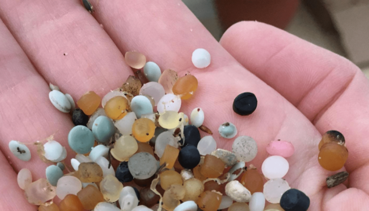 SCIENTISTS DISCOVER MICROPLASTICS