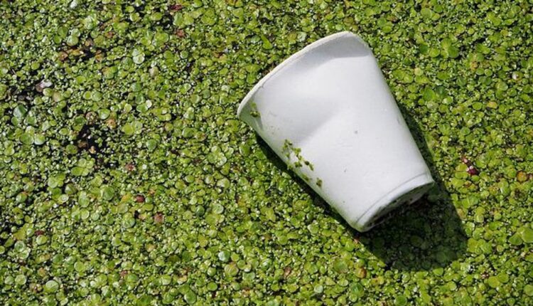 Light, Oxygen Turn Waste Plastics